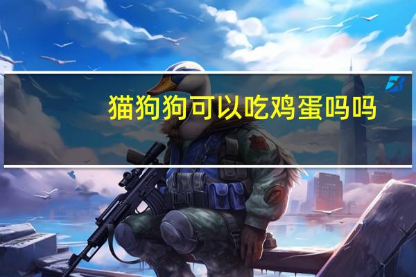 猫狗狗可以吃鸡蛋吗吗