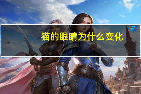 猫的眼睛为什么变化