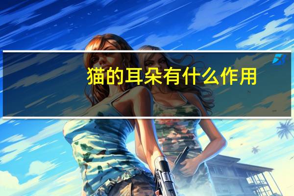 猫的耳朵有什么作用