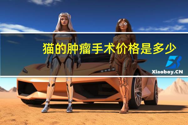 猫的肿瘤手术价格是多少