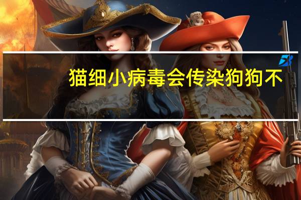 猫细小病毒会传染狗狗不