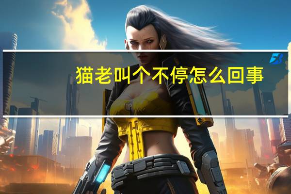 猫老叫个不停怎么回事