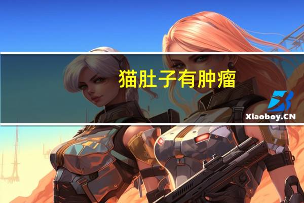 猫肚子有肿瘤