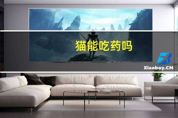 猫能吃药吗