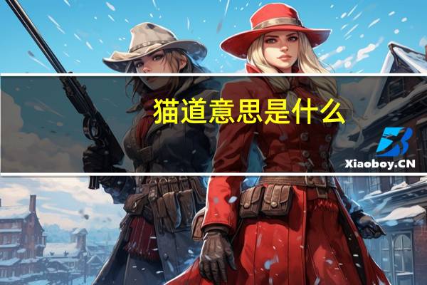 猫道意思是什么