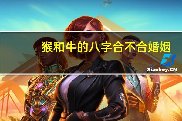 猴和牛的八字合不合婚姻