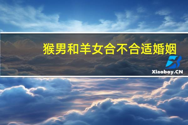 猴男和羊女合不合适婚姻