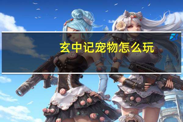 玄中记宠物怎么玩