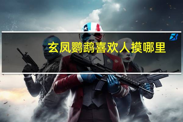 玄凤鹦鹉喜欢人摸哪里
