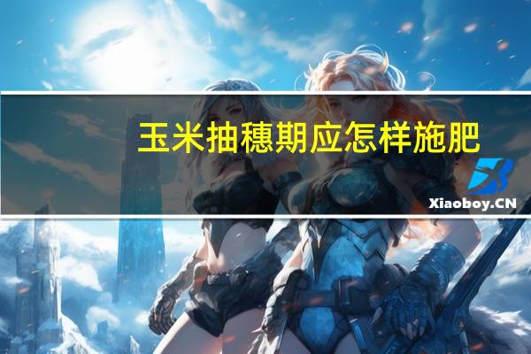 玉米抽穗期应怎样施肥