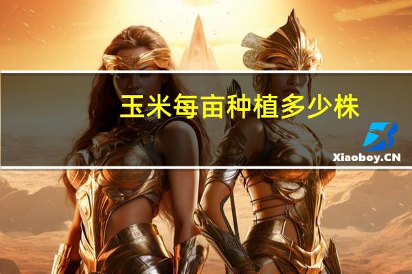 玉米每亩种植多少株