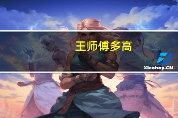 王师傅多高