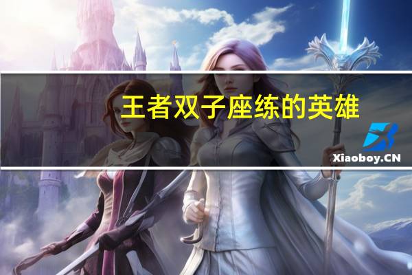 王者双子座练的英雄