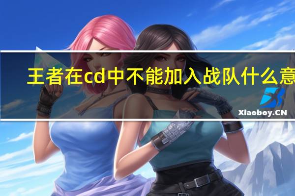 王者在cd中不能加入战队什么意思