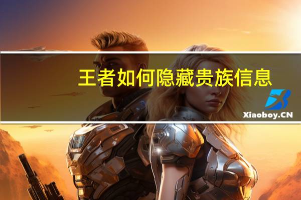 王者如何隐藏贵族信息