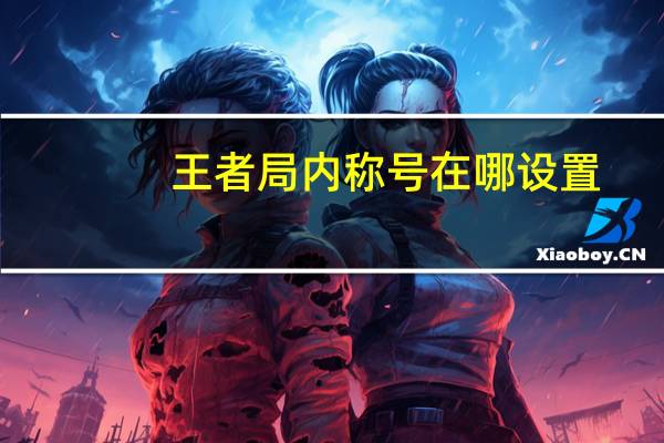 王者局内称号在哪设置
