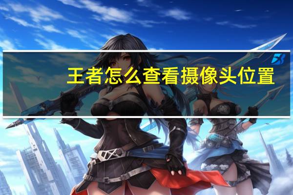 王者怎么查看摄像头位置