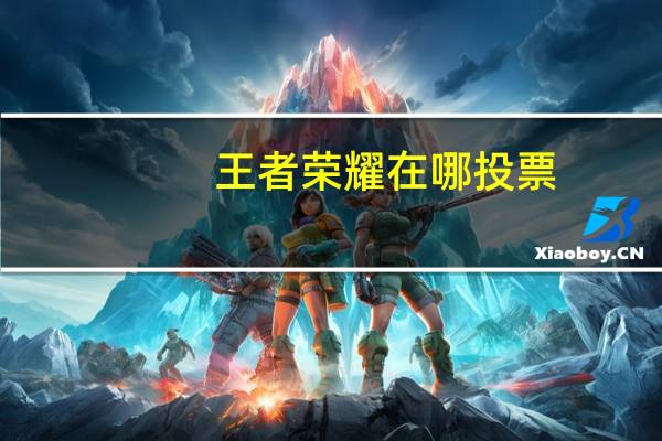 王者荣耀在哪投票