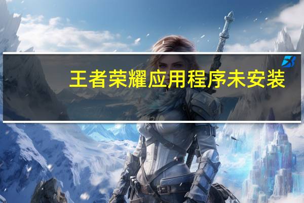 王者荣耀应用程序未安装