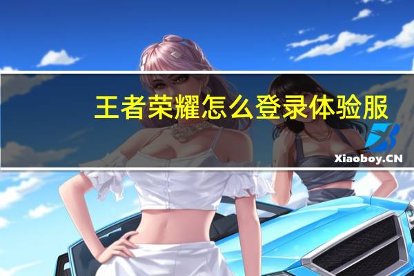王者荣耀怎么登录体验服
