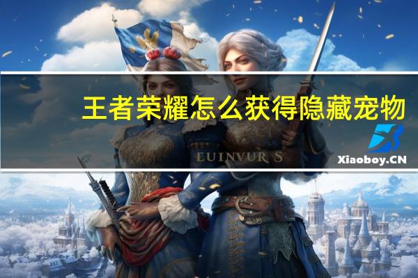 王者荣耀怎么获得隐藏宠物