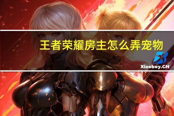 王者荣耀房主怎么弄宠物