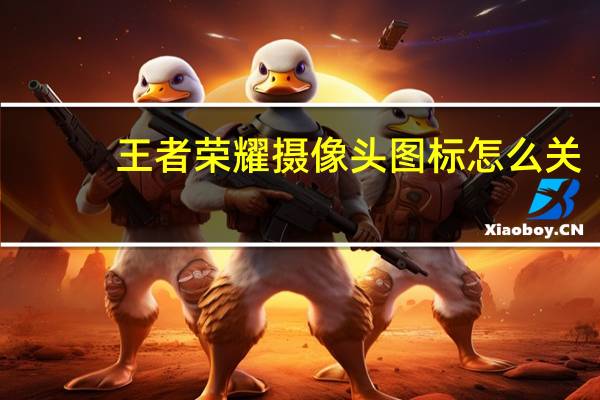 王者荣耀摄像头图标怎么关