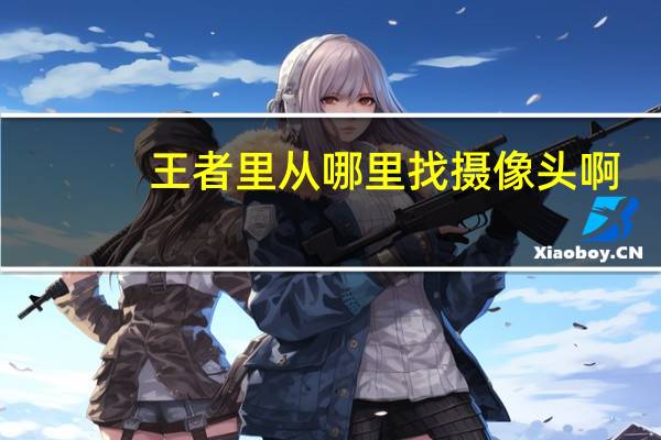 王者里从哪里找摄像头啊