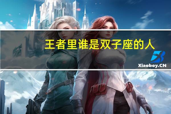王者里谁是双子座的人