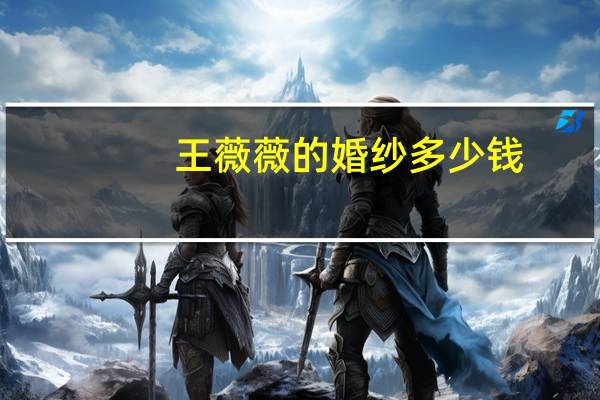 王薇薇的婚纱多少钱