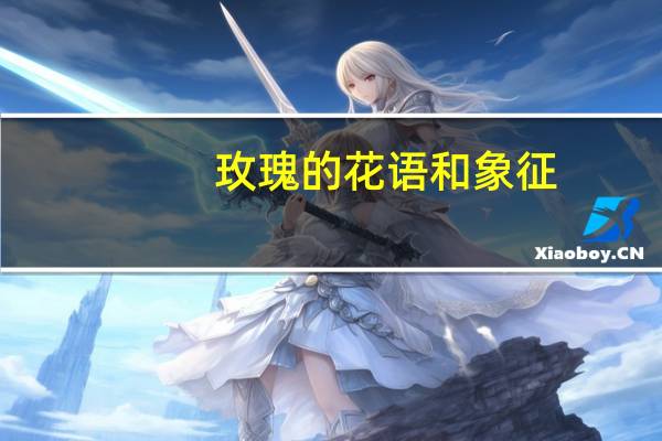 玫瑰的花语和象征