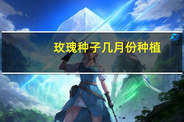 玫瑰种子几月份种植