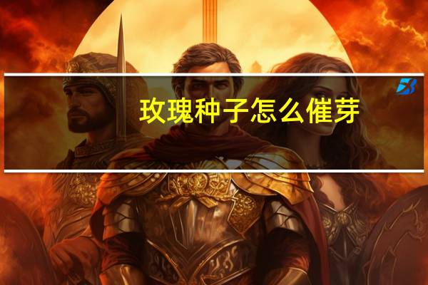 玫瑰种子怎么催芽