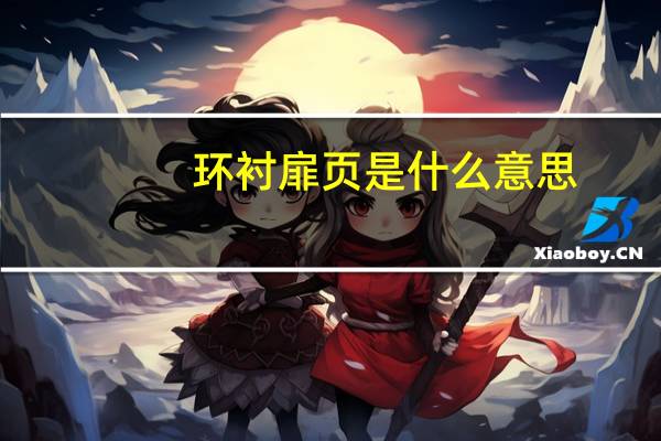 环衬扉页是什么意思