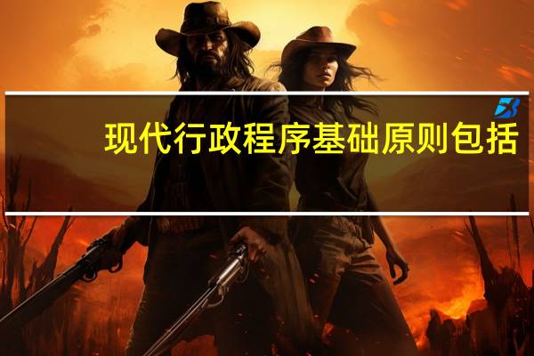 现代行政程序基础原则包括