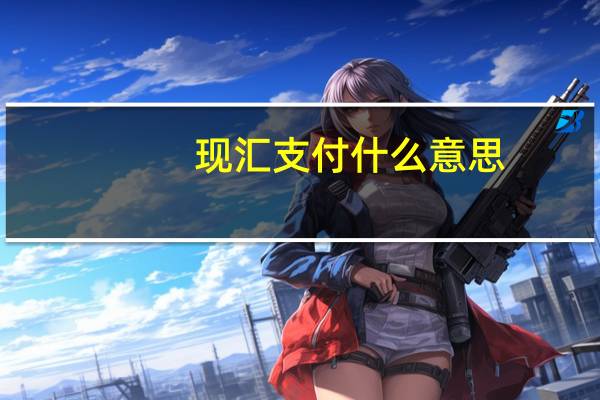 现汇支付什么意思