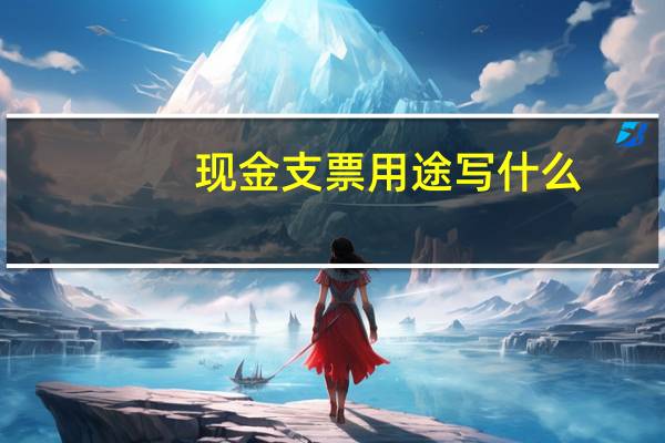 现金支票用途写什么
