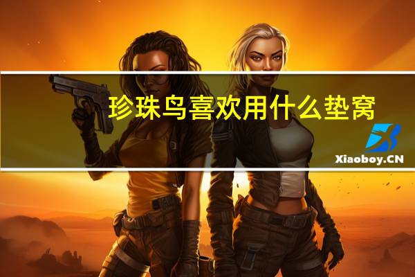 珍珠鸟喜欢用什么垫窝