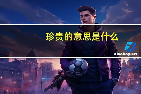 珍贵的意思是什么