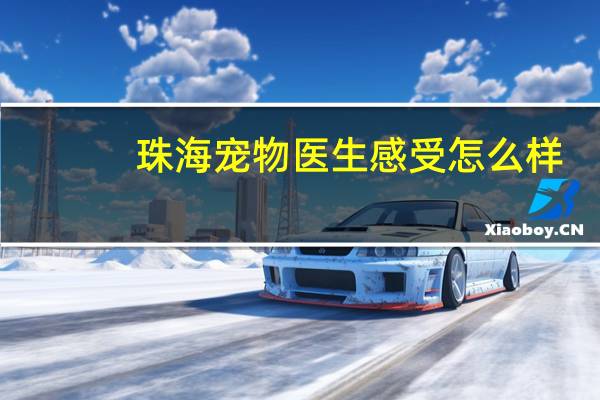珠海宠物医生感受怎么样