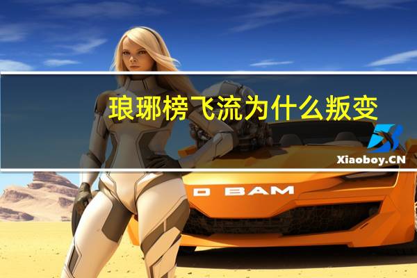 琅琊榜飞流为什么叛变
