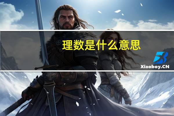 理数是什么意思