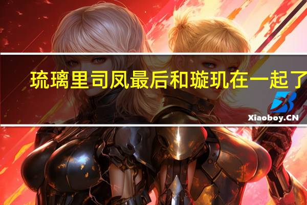 琉璃里司凤最后和璇玑在一起了吗