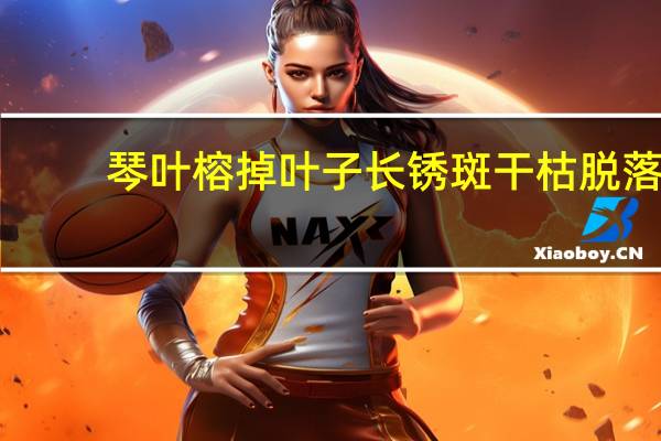 琴叶榕掉叶子长锈斑干枯脱落