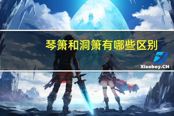 琴箫和洞箫有哪些区别