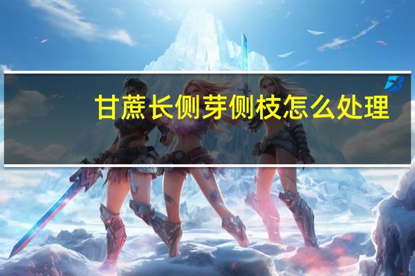 甘蔗长侧芽侧枝怎么处理