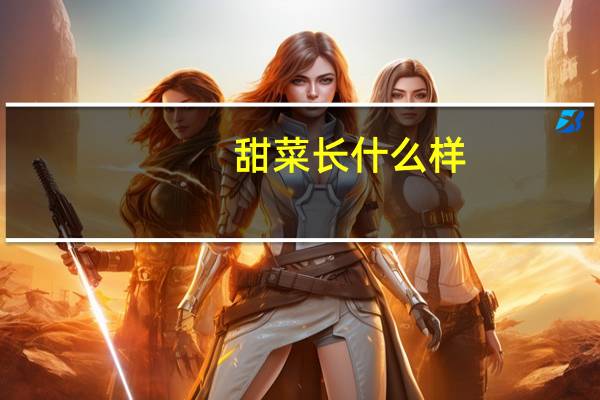 甜菜长什么样