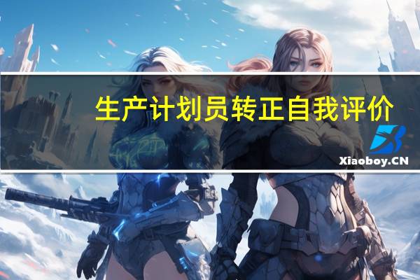 生产计划员转正自我评价