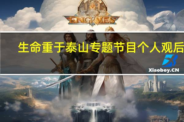 生命重于泰山专题节目个人观后感