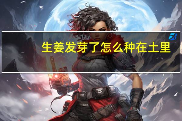 生姜发芽了怎么种在土里